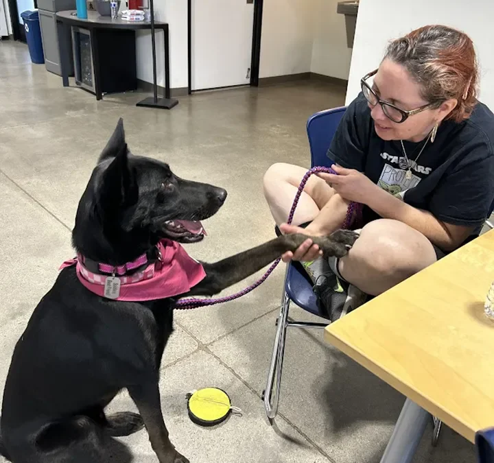 The marketing strategy you’ve never heard of and should be using.