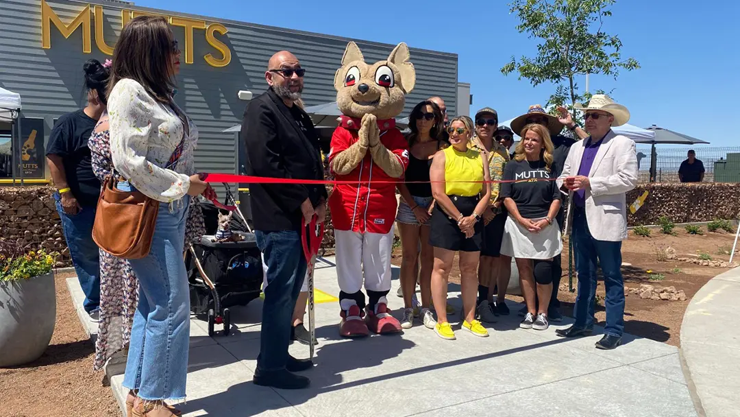 Knoodle: Your Expert Event Marketing Partner